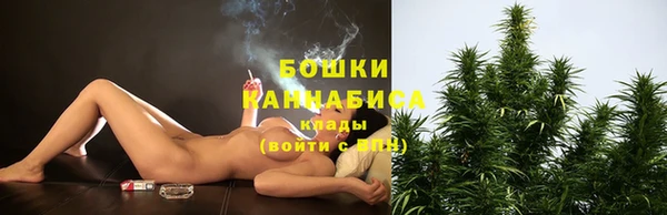 молекула духа Покровск