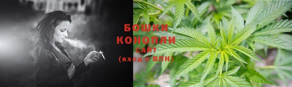 индика Покачи