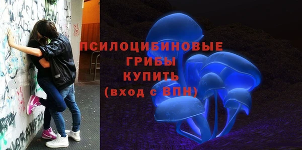индика Покачи