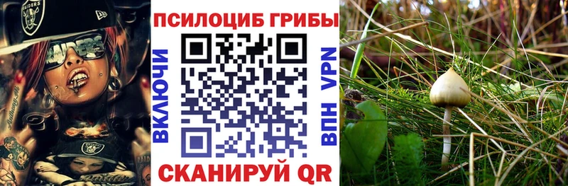 Галлюциногенные грибы мухоморы  Купить  Грозный 